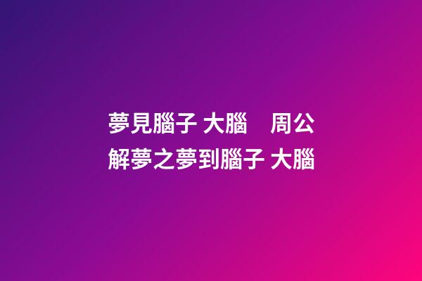 夢見腦子 大腦　周公解夢之夢到腦子 大腦